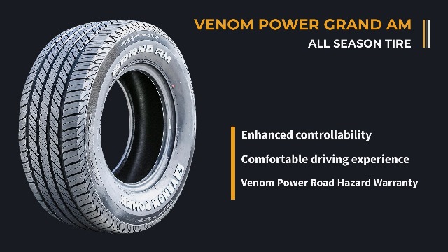 Amazon.com: Set of 4 (FOUR) Venom Power Grand AM Truck/SUV All